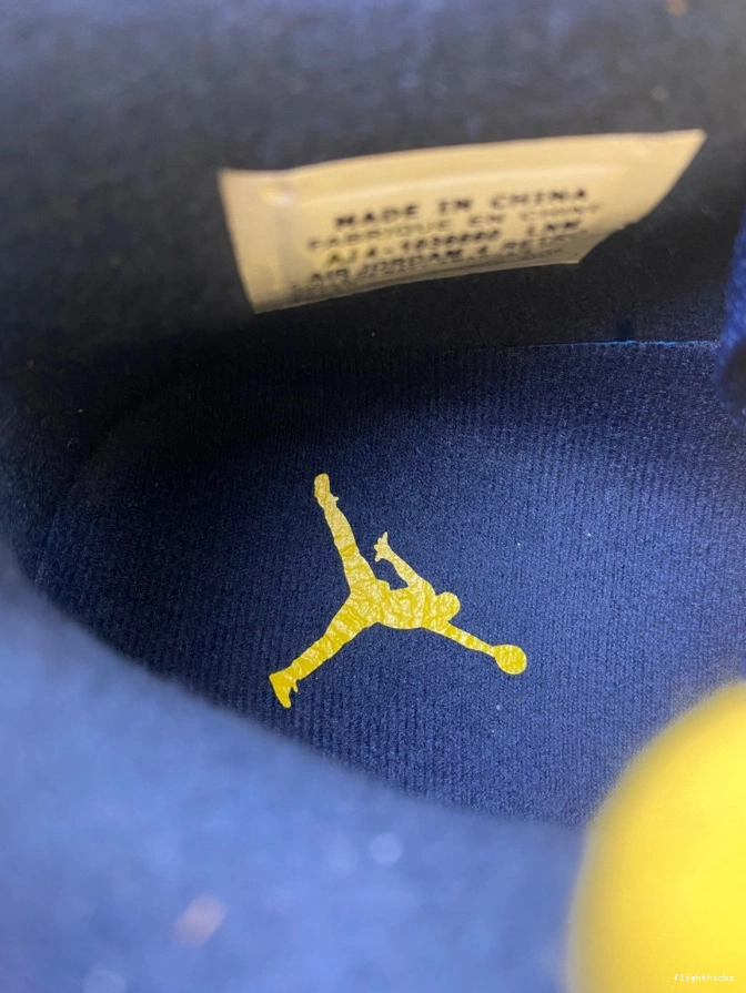4 Michigan Jordan Air (PE) Retro AJ4-1036660 1209